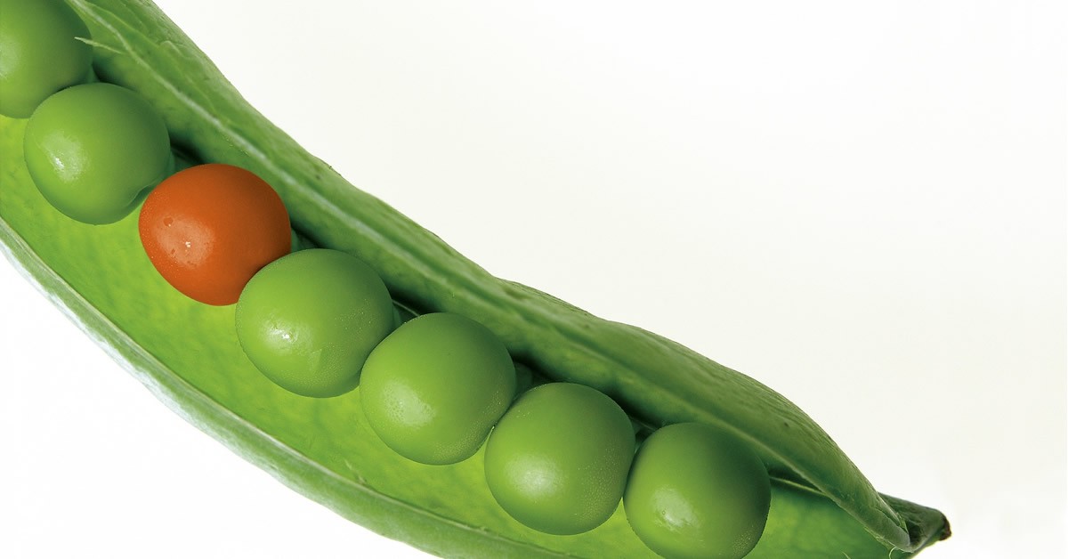 Using Automated Marketing to stand out in Economic Development