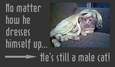 Crying and Dating – a Marketing Primer