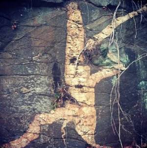 Rediscovering Halifax County