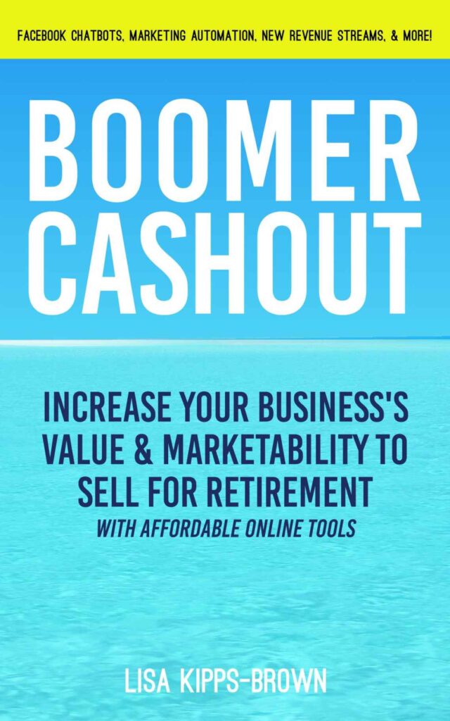 Boomer Cashout book cover