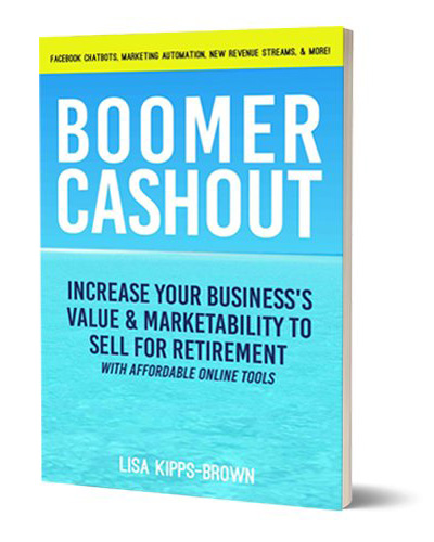 Boomer Washout book cover